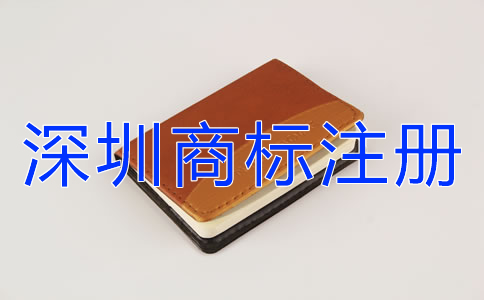 專業(yè)代理深圳商標(biāo)注冊(cè)設(shè)計(jì)